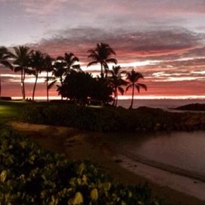 Meet your Posher, Bailey